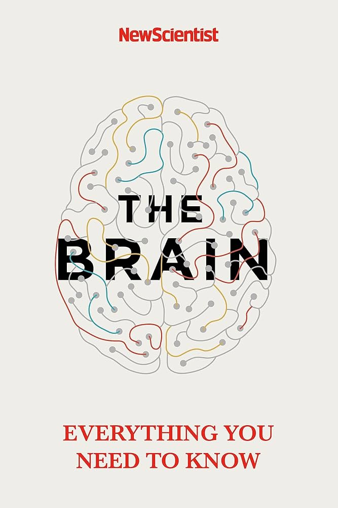 The Brain: Everything You Need to Know