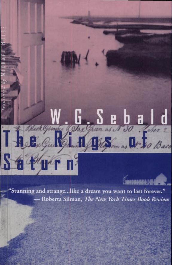 The Rings of Saturn