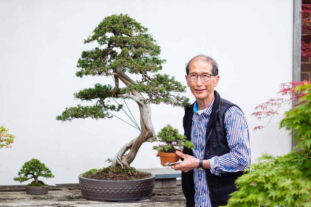 Bonsai: The Art of Growing and Keeping Miniature Trees