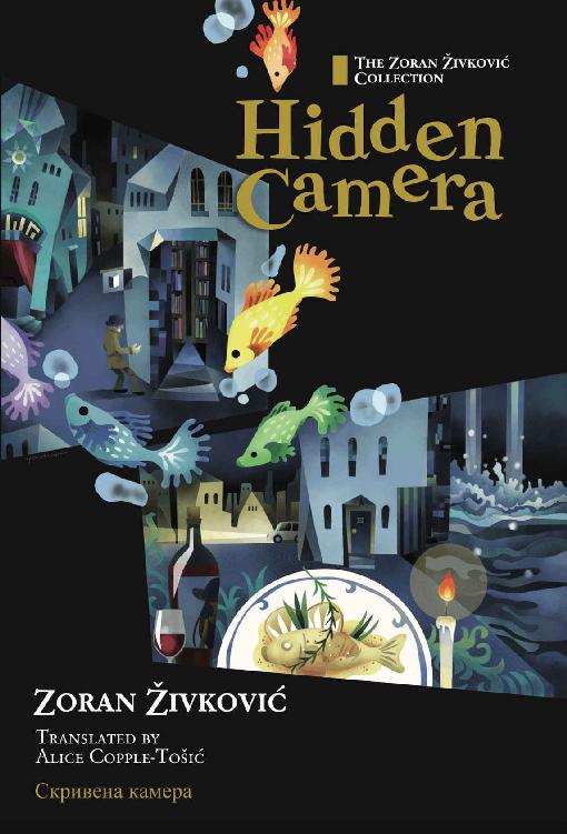 Hidden Camera