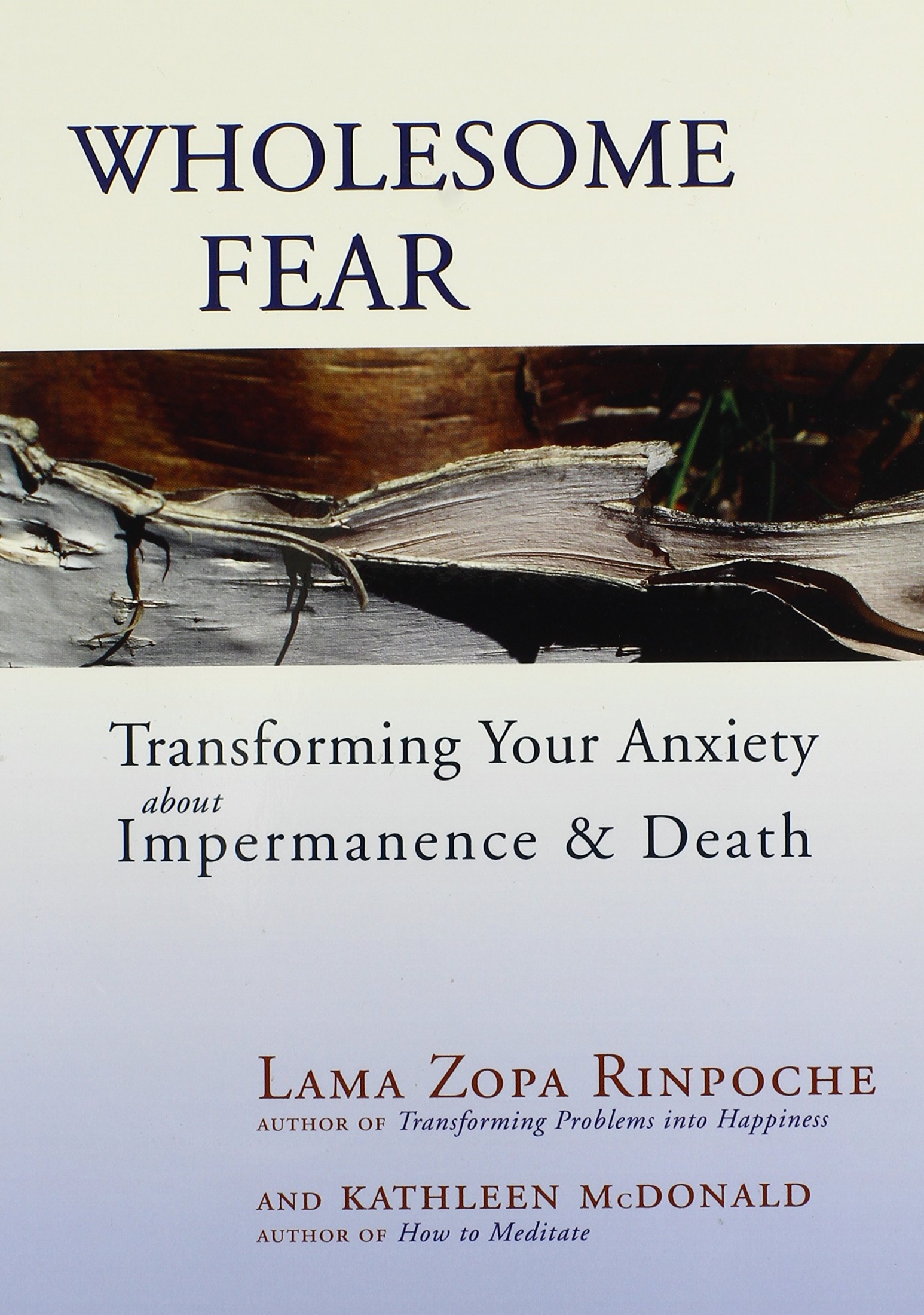 Wholesome Fear: Transforming Your Anxiety About Impermanence and Death