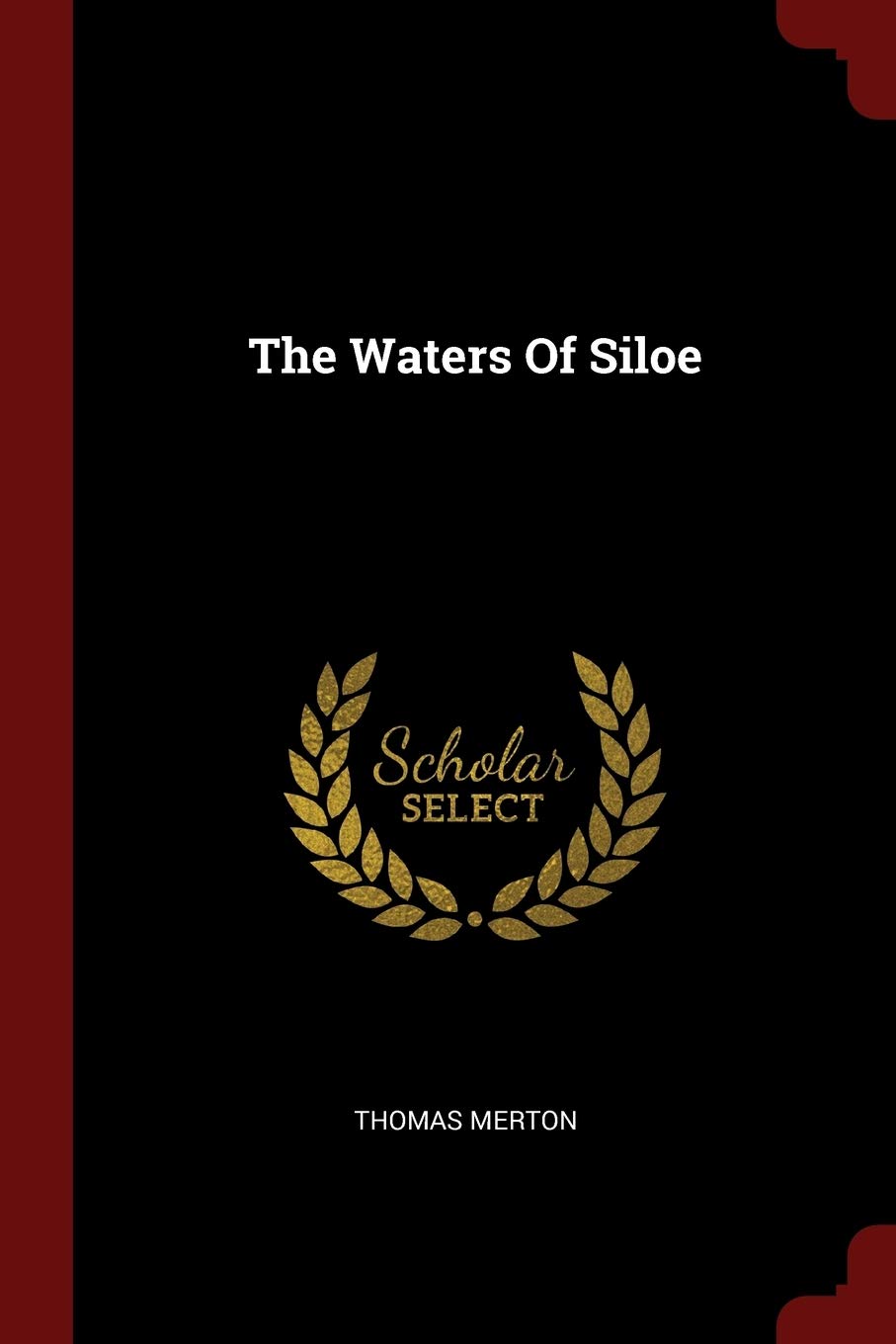 The Waters of Siloe
