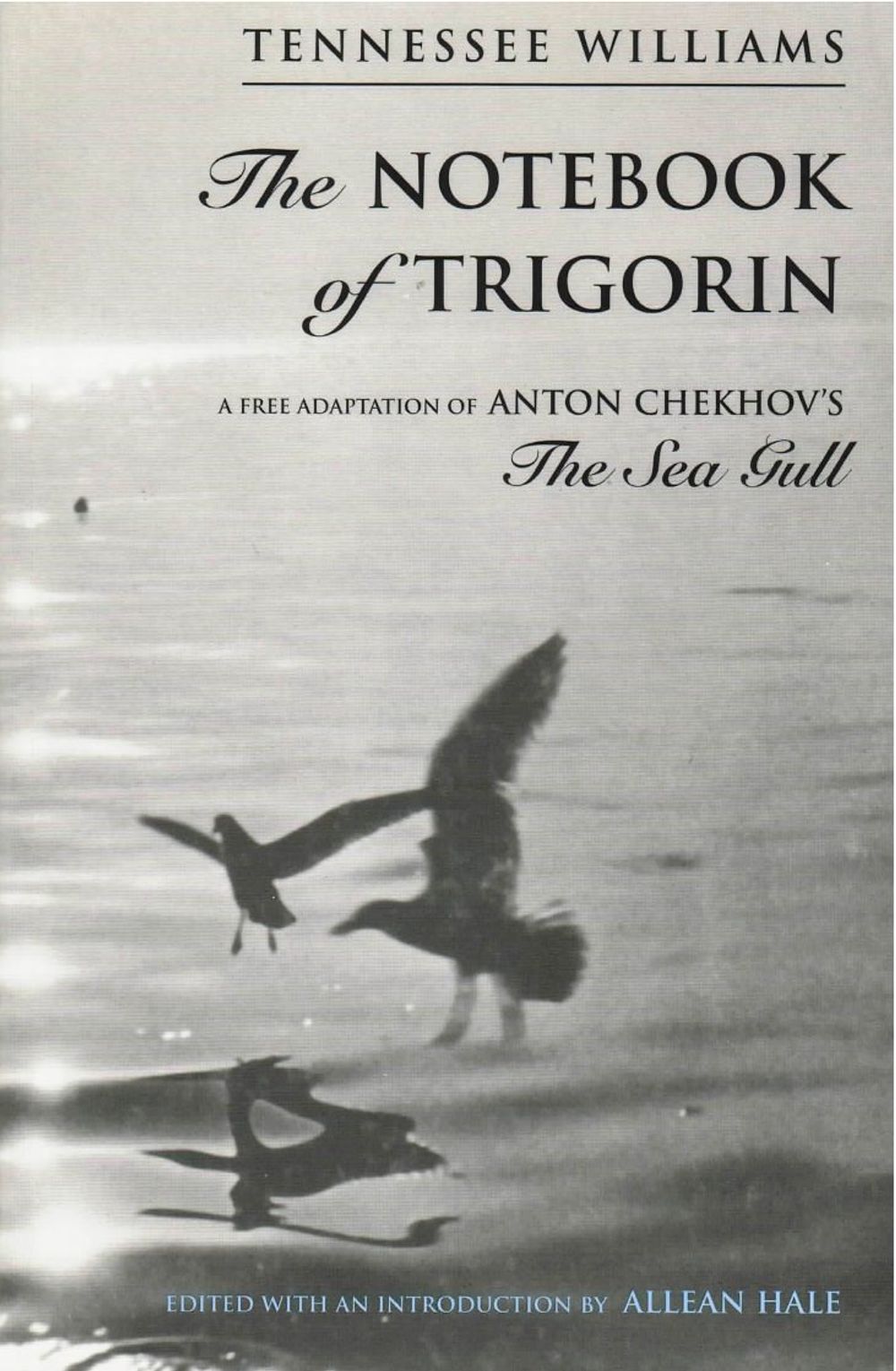 The Notebook of Trigorin: A Free Adaptation of Chechkov's the Sea Gull