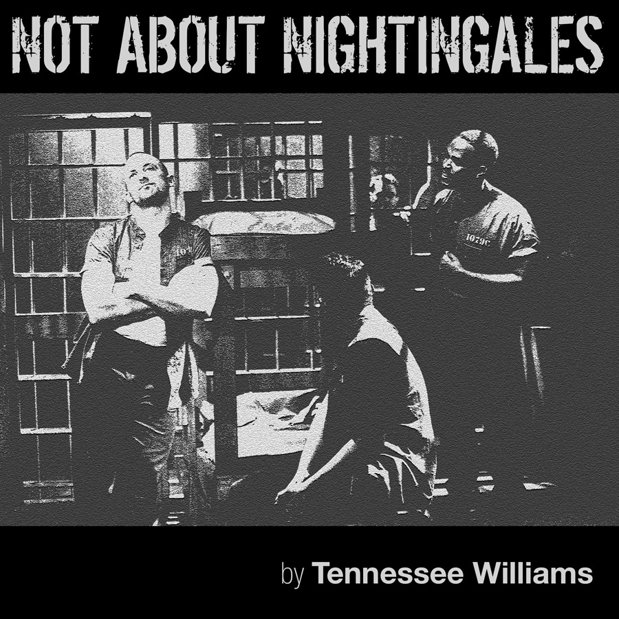Not About Nightingales