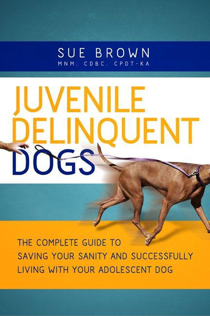 Juvenile Delinquent Dogs: The Complete Guide to Saving Your Sanity and Successfully Living With Your Adolescent Dog