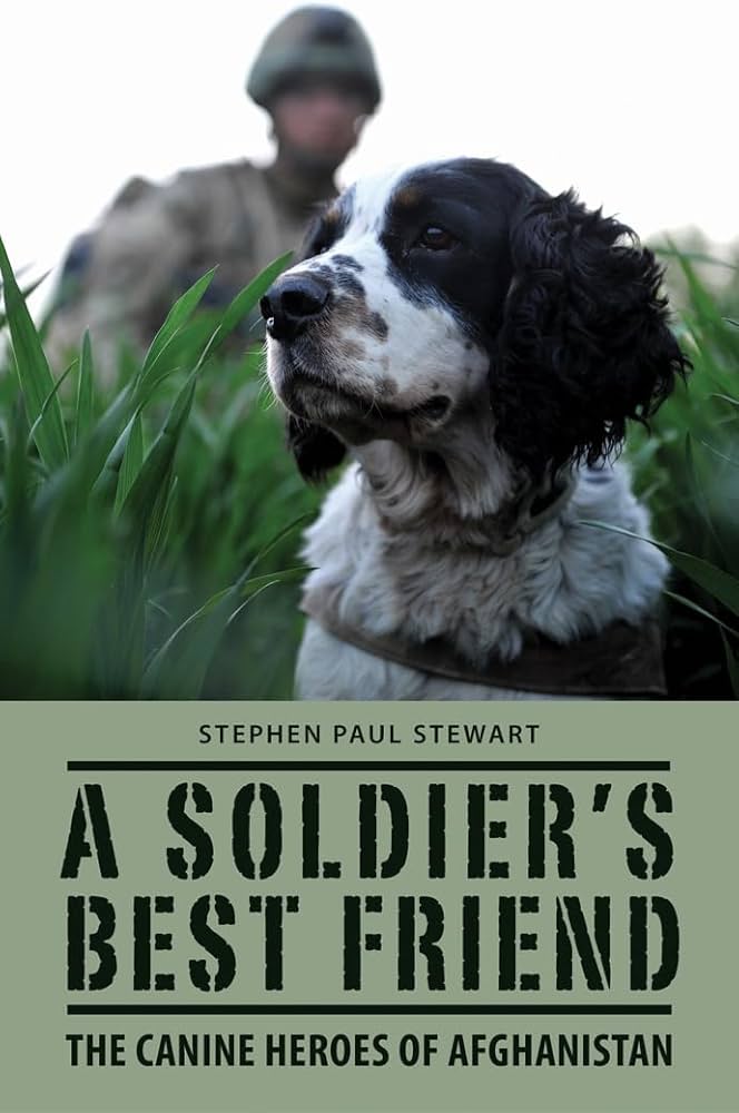 Soldier's Best Friend