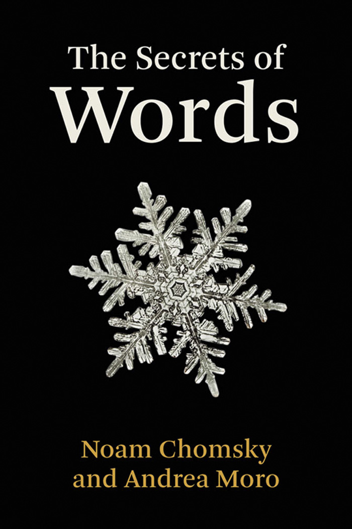 The Secrets of Words