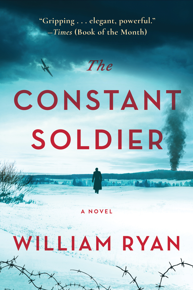 The Constant Soldier: A Novel